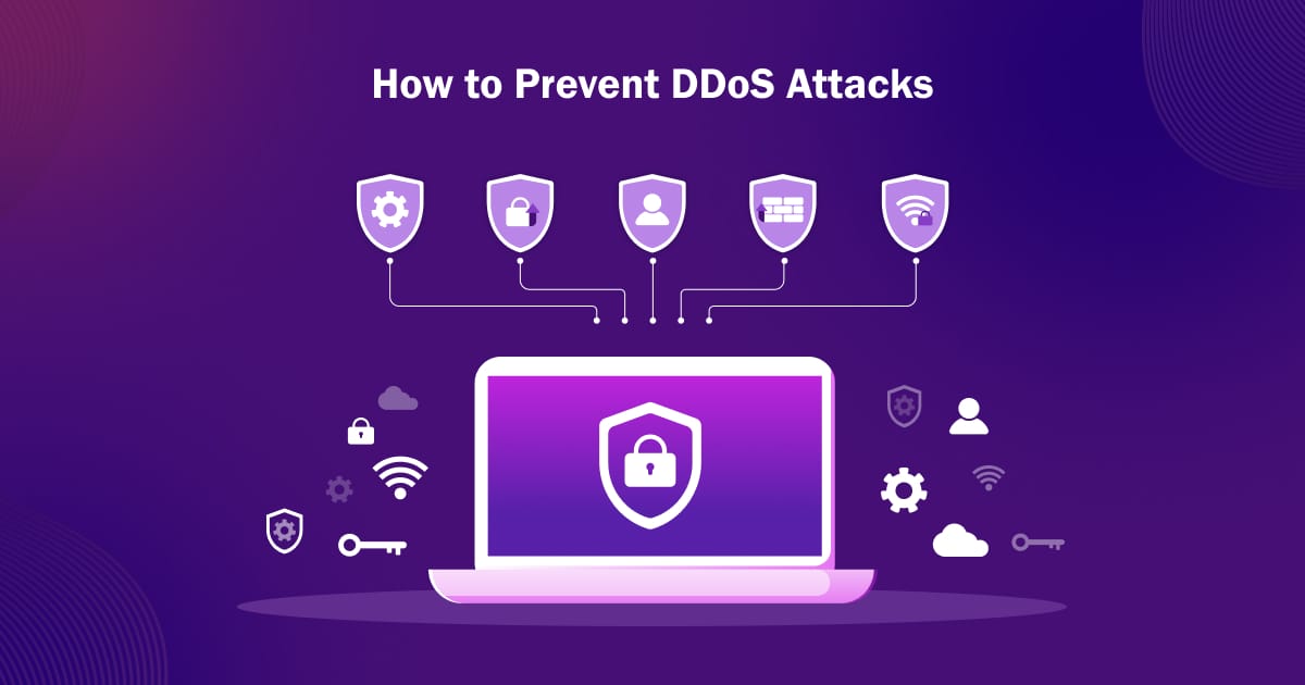 DDoS Protection