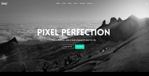 salient theme one page website demo