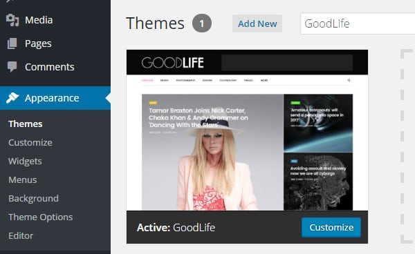 GoodLife WordPress Theme Review Activate
