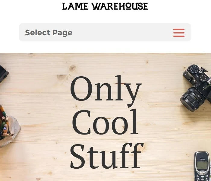 Lame Warehouse - Exemple de site Web Divi