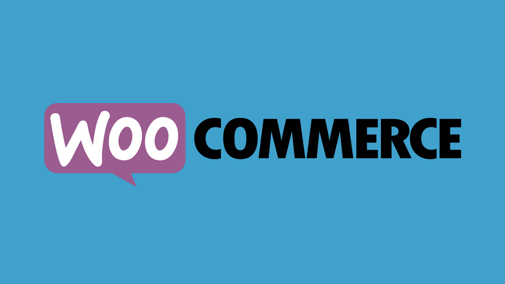 What are the Key Features of WooCommerce ?