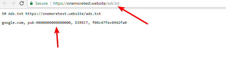 example of ads.txt file