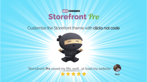 storefront pro