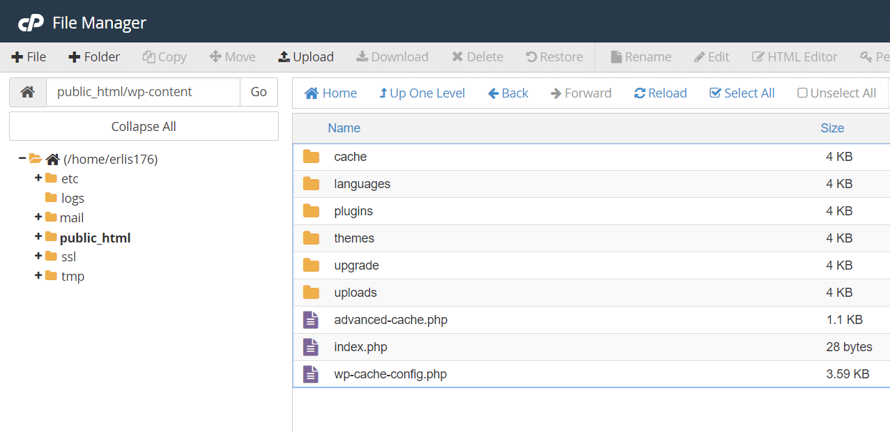 HostPapa Hosting Review File Manager