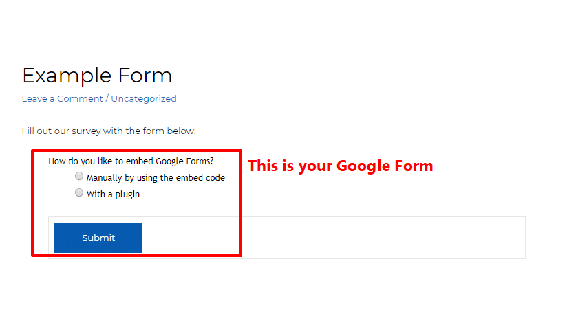google forms example as html