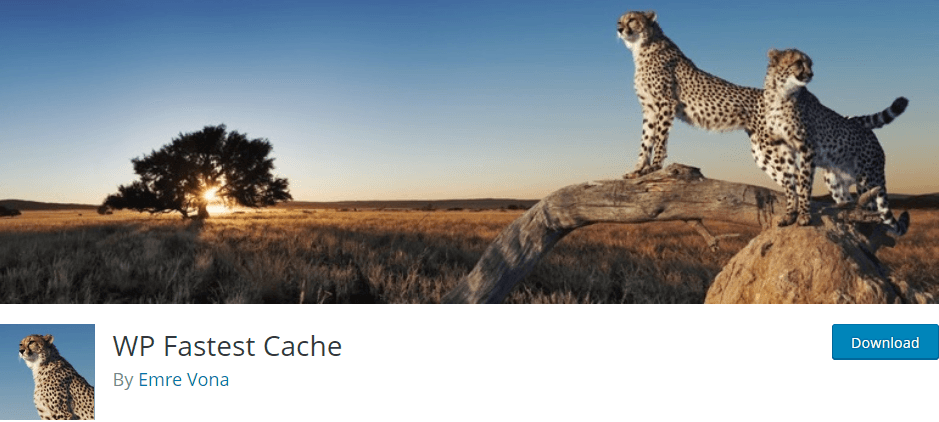 wp fastest cache is one of the essential wordpress plugins