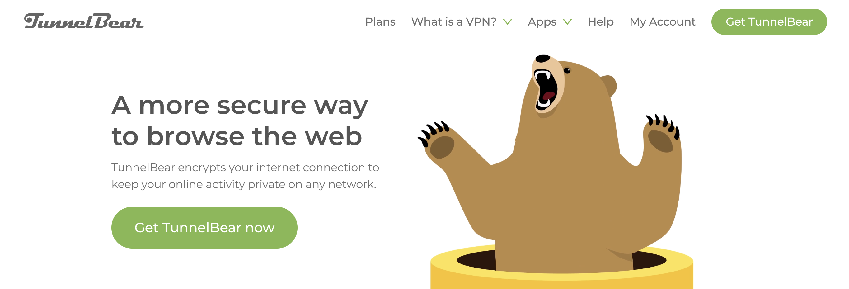 TunnelBear -  best VPN services