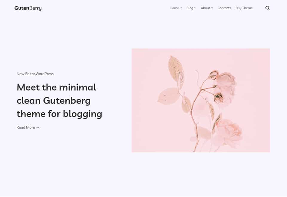 Gutenberry – Classy WordPress Blog Theme for Gutenberg Editor