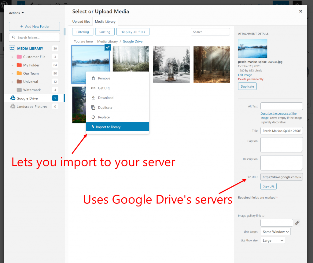 How to insert content from Google Drive in WordPress
