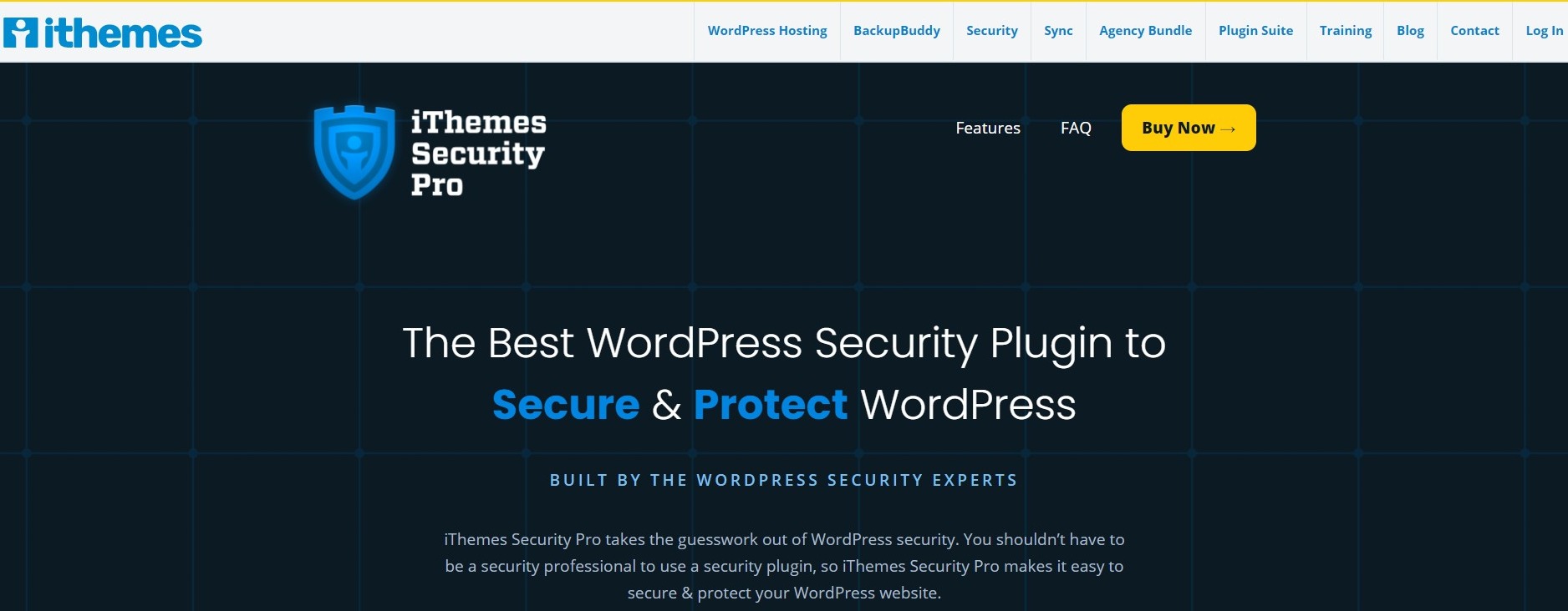 iThemes Security plugin