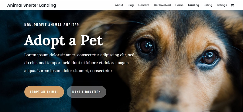 Divi animal shelter WordPress theme
