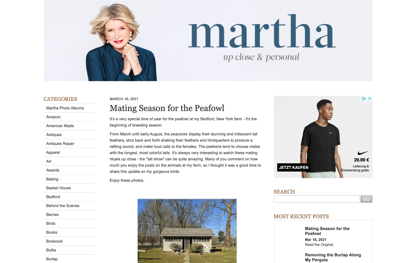 martha stewart list of celebrity websites