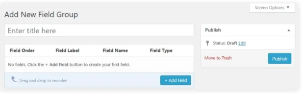 custom fields option add field button