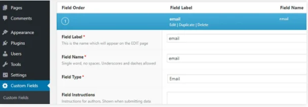 custom fields option email field in this example