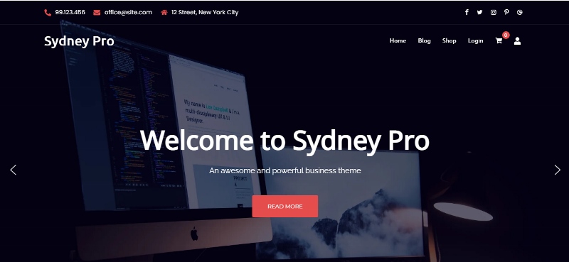 Sydney Pro - clean WordPress theme for business websites