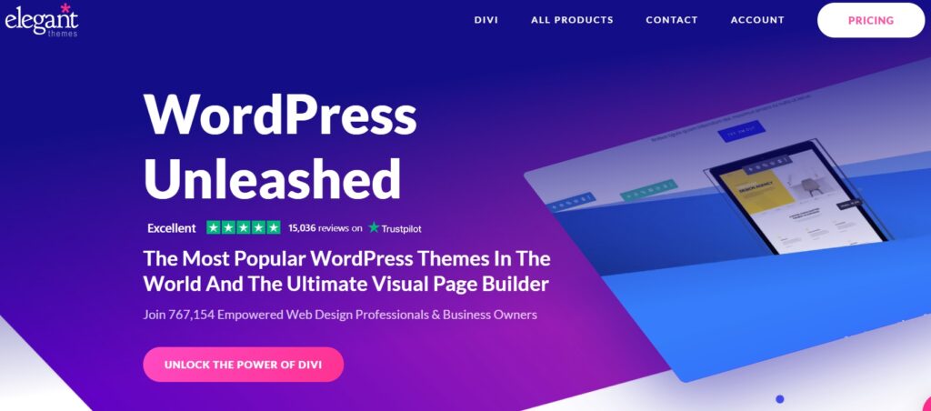 what is Divi theme