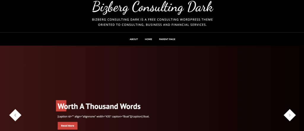Bizberg Consulting Dark WordPress theme