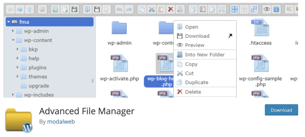 Plug-in de bibliothèque multimédia Advance File Manager WordPress 