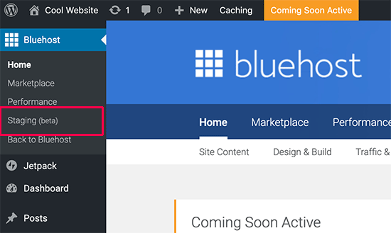 Create WordPress Staging Site with Bluehost