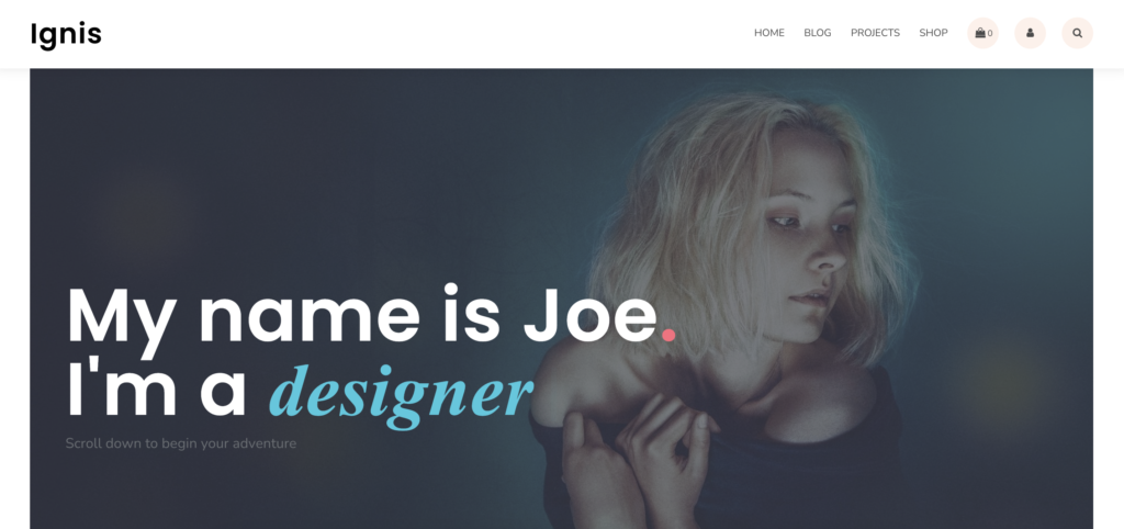 ignis best free wordpress themes for artists
