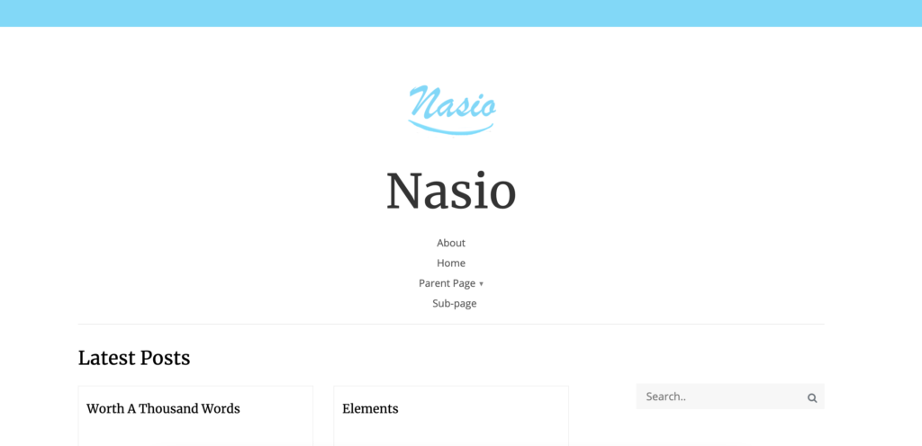 best free WordPress themes for artists - Nasio