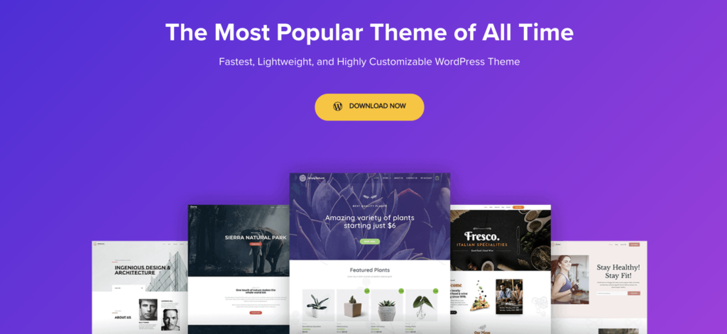 astra - wordpress themes for programmers