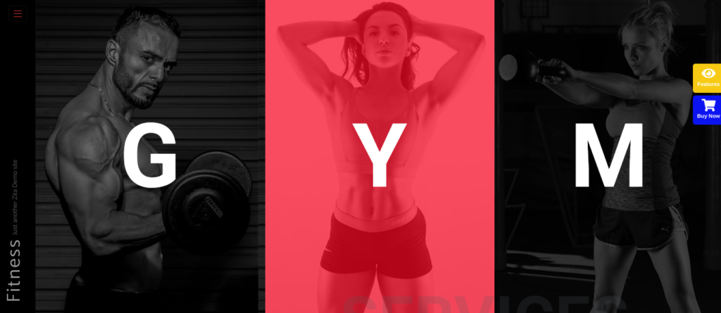 gym and fitness - best elementor templates