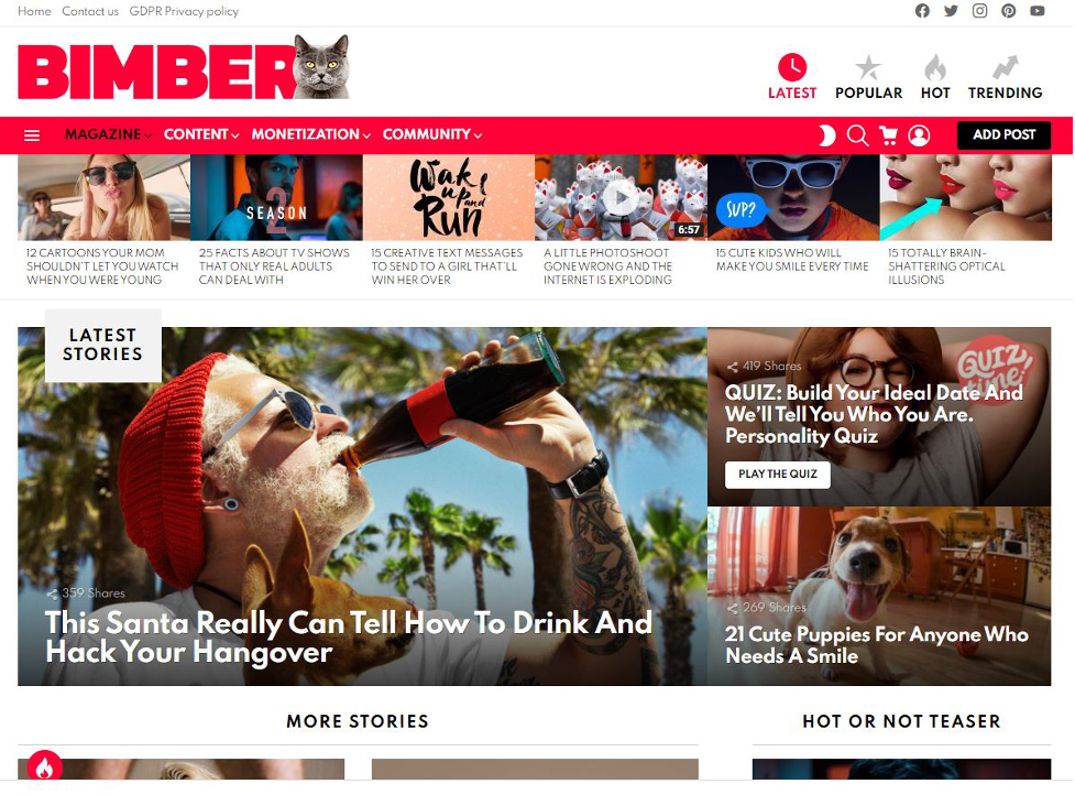 Bimber WordPress magazine theme