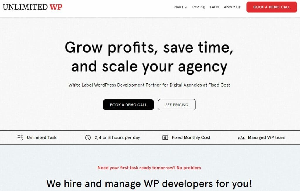 UnlimitedWP - Best Place to Hire WordPress Developers