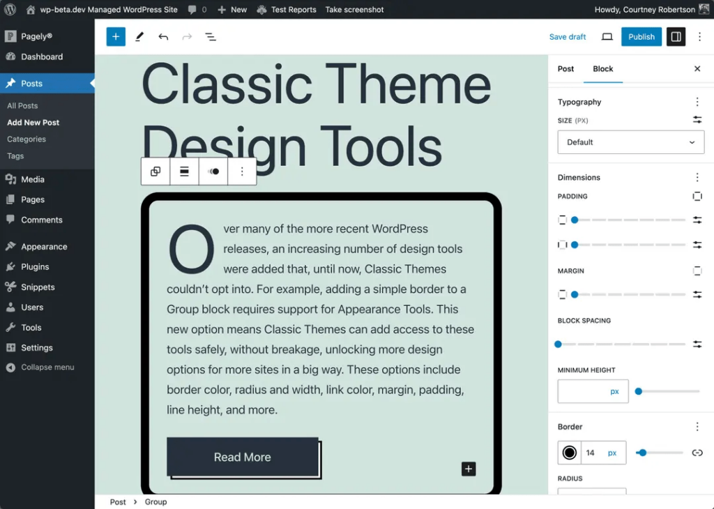 Support for Appearance Tools in Classic WordPress Themes